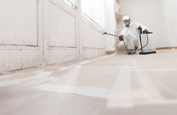 24/7 Emergency Black Mold Remediation experts in Madison, NC